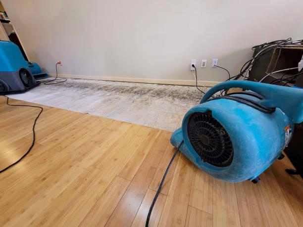 Professional Flood Damage Cleanup technician working in Holderness, NH